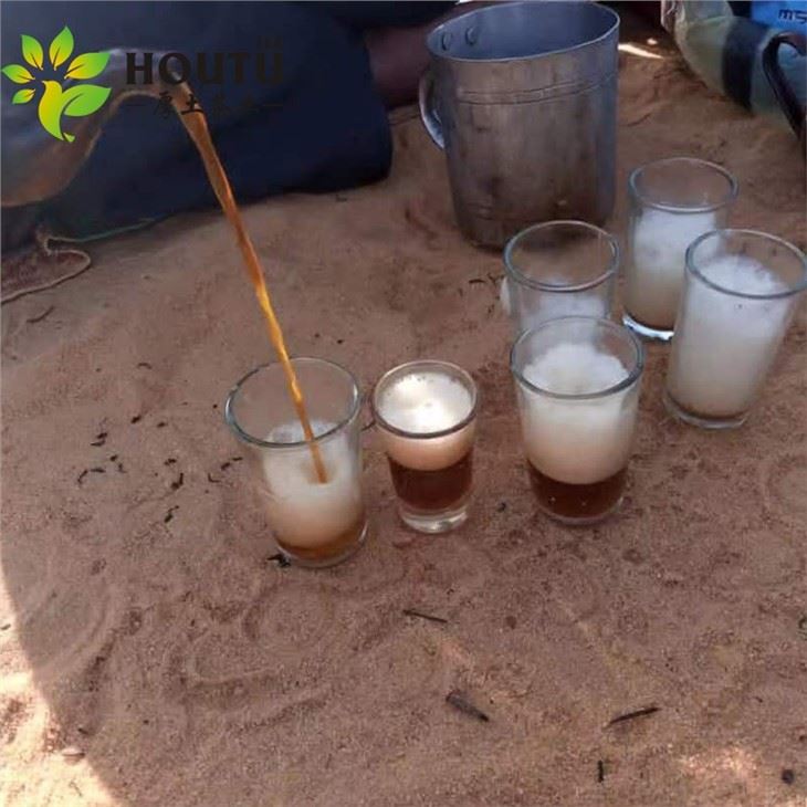 China Gunpowder Tea wholesale